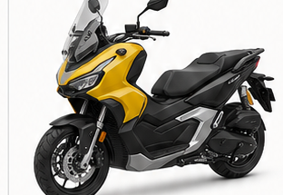 Large category scooter